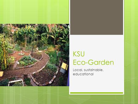 KSU Eco-Garden Local, sustainable, educational. The Revolution is Fertile!