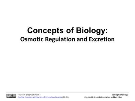 This work is licensed under a Creative Commons Attribution 4.0 International License (CC-BY). Concepts of Biology Chapter 22: Osmotic Regulation and Excretion.