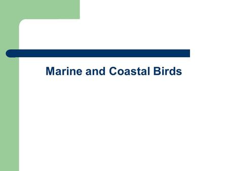 Marine and Coastal Birds. External Anatomy of a Bird 1.Beak 2.Crown 3.Iris 4.Pupil 5.Mantle 6.Lesser Coverts 7.Scapulars 8.Coverts (Feathers) 9.Tertials.