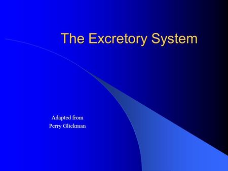 The Excretory System Adapted from Perry Glickman.