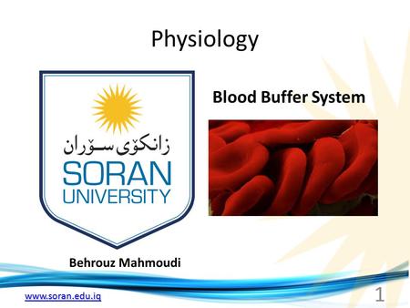 Physiology Blood Buffer System Behrouz Mahmoudi.