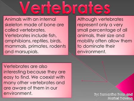 Vertebrates Animals with an internal skeleton made of bone are called vertebrates. Vertebrates include fish, amphibians, reptiles, birds, mammals, primates,