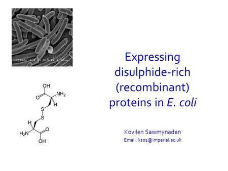 Expressing disulphide-rich (recombinant) proteins in E. coli Kovilen Sawmynaden
