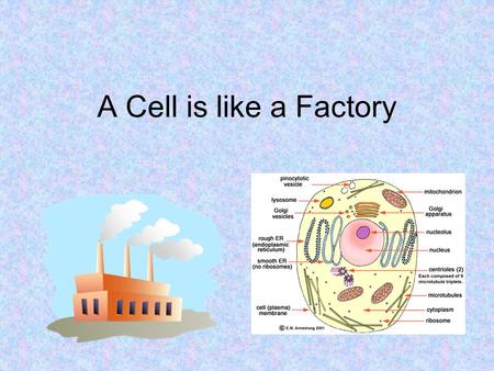 A Cell is like a Factory. How can a cell be like a factory??? In a factory, you have many different tasks being completed in the same building. –Ex. The.