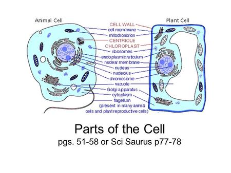 Parts of the Cell pgs or Sci Saurus p77-78