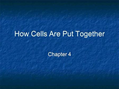 How Cells Are Put Together Chapter 4. Smallest unit of life Can survive on its own or has potential to do so Is highly organized for metabolism Senses.
