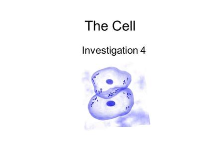 The Cell Investigation 4.