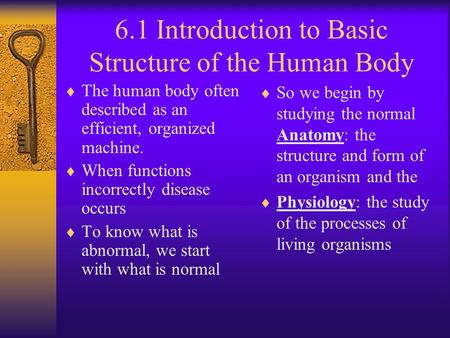 6.1 Introduction to Basic Structure of the Human Body