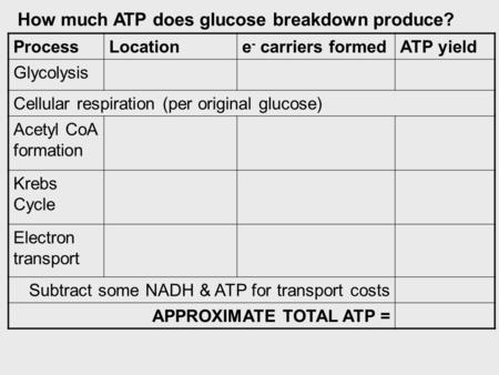 How much ATP does glucose breakdown produce? ProcessLocatione - carriers formedATP yield Glycolysis Cellular respiration (per original glucose) Acetyl.