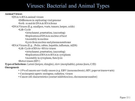 Viruses: Bacterial and Animal Types