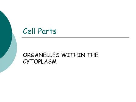 Cell Parts ORGANELLES WITHIN THE CYTOPLASM. Cytoplasm Structure  Composed of water, salts and organic molecules  Cytosol Function  Site where most.