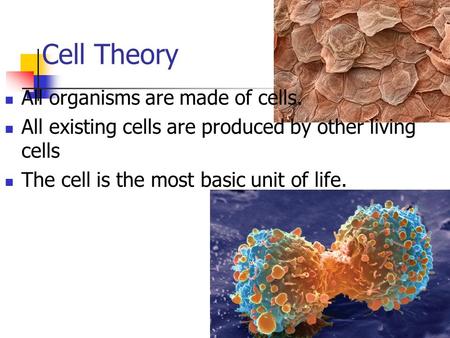 Cell Theory All organisms are made of cells. All existing cells are produced by other living cells The cell is the most basic unit of life.