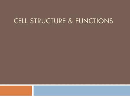 CELL STRUCTURE & FUNCTIONS.  Introduction  Eucaryotic cell structure  Procaryotic cell structure  Differences between Procaryotic & Eukaryotic cells.