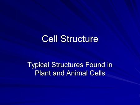 Cell Structure Typical Structures Found in Plant and Animal Cells.