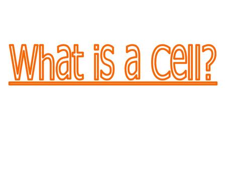 What is a Cell?.