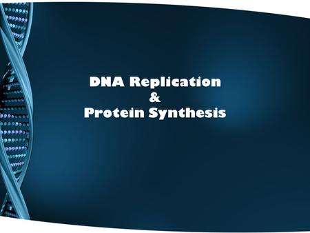 DNA Replication & Protein Synthesis. DNA REPLICATION.