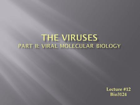 The Viruses Part II: Viral Molecular Biology