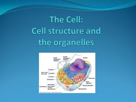 The Cell: Cell structure and the organelles