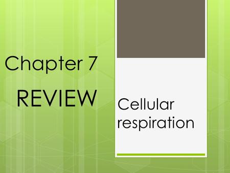 Chapter 7 Cellular respiration REVIEW. Process/Procedures 2a) Why are plants called producers? 2b) How does photosynthesis connect sunlight to energy.