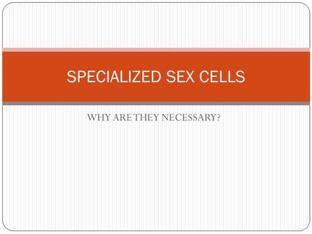 SPECIALIZED SEX CELLS WHY ARE THEY NECESSARY?.