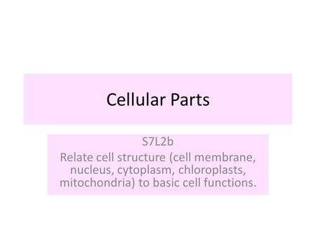Cellular Parts S7L2b Relate cell structure (cell membrane, nucleus, cytoplasm, chloroplasts, mitochondria) to basic cell functions.