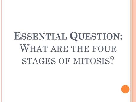 E SSENTIAL Q UESTION : W HAT ARE THE FOUR STAGES OF MITOSIS ?