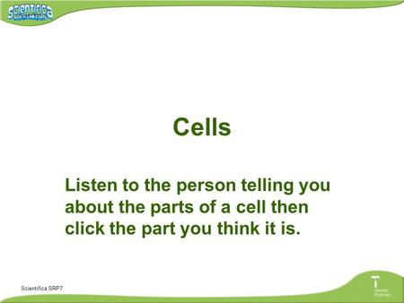 Scientifica SRP7 Cells Listen to the person telling you about the parts of a cell then click the part you think it is.