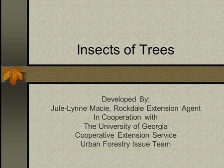 Insects of Trees Developed By: Jule-Lynne Macie, Rockdale Extension Agent In Cooperation with The University of Georgia Cooperative Extension Service Urban.