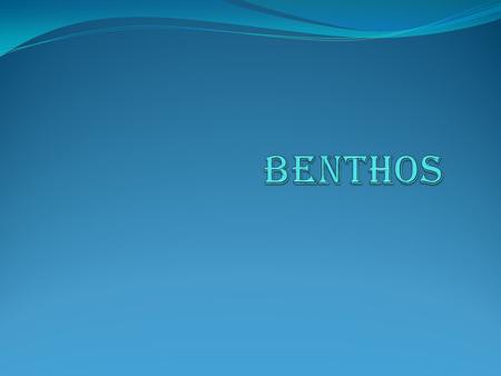 INTRODUCTION All the organisms living or inhabiting in the bottom regions of the aquatic environment are termed benthos. These benthos/benthic organisms.