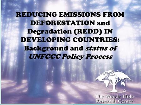 REDUCING EMISSIONS FROM DEFORESTATION and Degradation (REDD) IN DEVELOPING COUNTRIES: Background and status of UNFCCC Policy Process The Woods Hole Research.