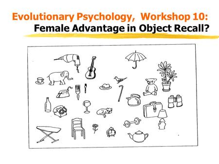 Evolutionary Psychology, Workshop 10: Female Advantage in Object Recall?