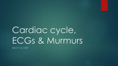 Cardiac cycle, ECGs & Murmurs BECKY & SHEF. ECGs.