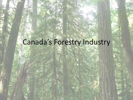 Canada’s Forestry Industry