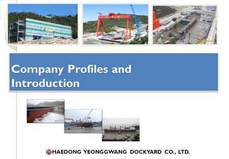 Company Profiles and Introduction