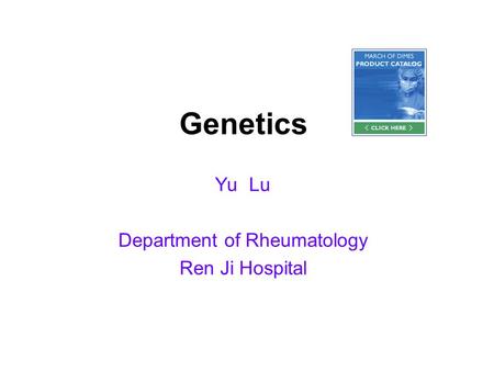 Genetics Yu Lu Department of Rheumatology Ren Ji Hospital.