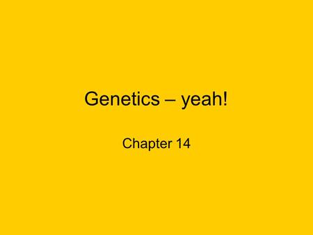 Genetics – yeah! Chapter 14.