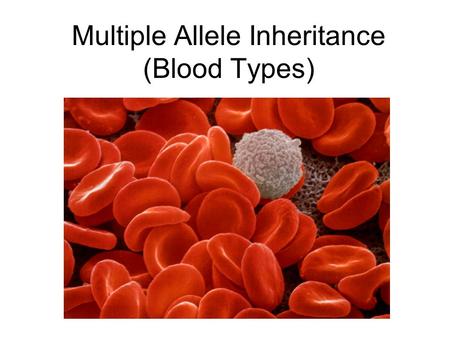 Multiple Allele Inheritance (Blood Types)