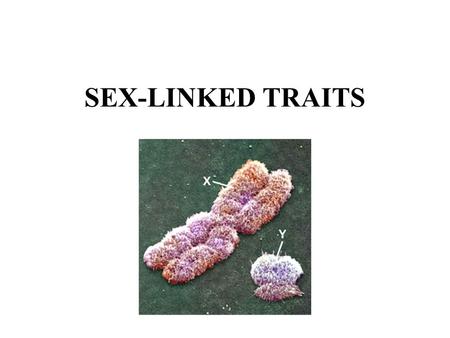 SEX-LINKED TRAITS.