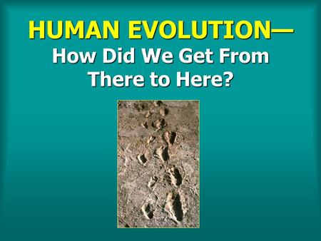 HUMAN EVOLUTION— How Did We Get From There to Here?