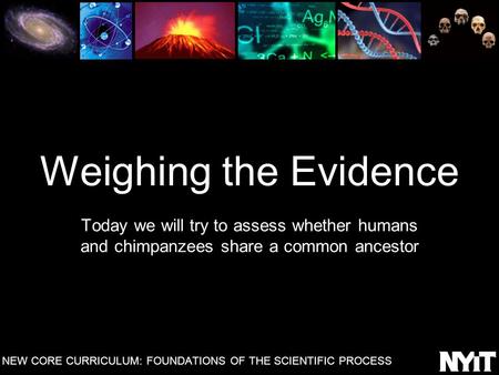 Weighing the Evidence Today we will try to assess whether humans and chimpanzees share a common ancestor NEW CORE CURRICULUM: FOUNDATIONS OF THE SCIENTIFIC.