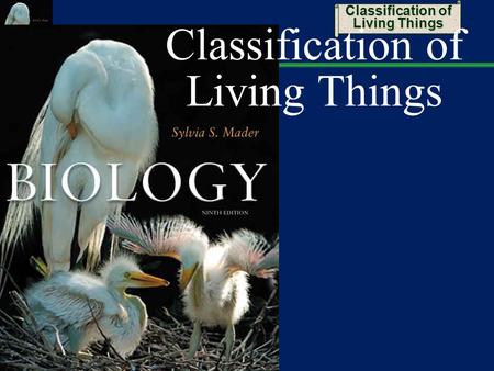 Classification of Living Things. 2 Taxonomy: Distinguishing Species Distinguishing species on the basis of structure can be difficult  Members of the.