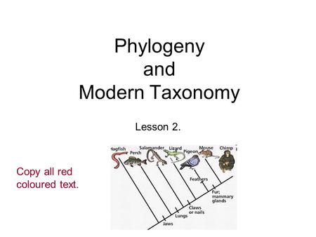 Phylogeny and Modern Taxonomy