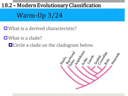 Warm-Up 3/24 What is a derived characteristic? What is a clade?