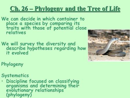 Ch. 26 – Phylogeny and the Tree of Life