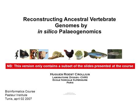 Reconstructing Ancestral Vertebrate Genomes by in silico Palaeogenomics Hugues Roest Crollius Laboratoire Dyogen - CNRS Ecole Normale Supérieure Paris.