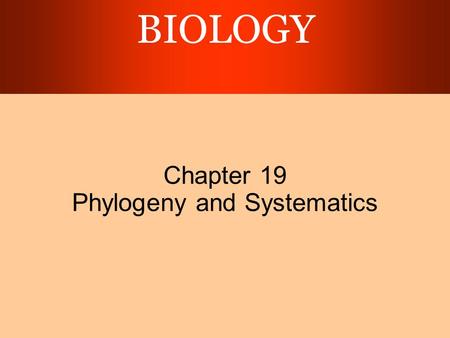 BIOLOGY Chapter 19 Phylogeny and Systematics. Copyright © 2003 Pearson Education, Inc. publishing as Benjamin Cummings Phylogeny is the evolutionary history.