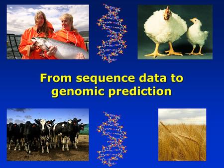 From sequence data to genomic prediction