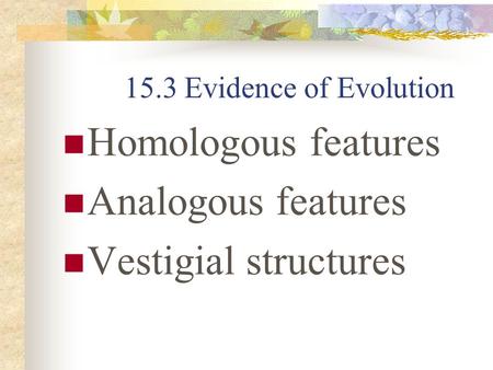 Homologous features Analogous features Vestigial structures