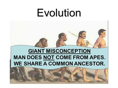 MAN DOES NOT COME FROM APES. WE SHARE A COMMON ANCESTOR.