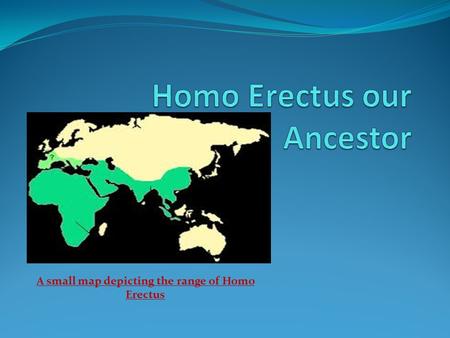 A small map depicting the range of Homo Erectus. This species evolved in Africa some 1.8 million years ago. This species is incredible because this was.